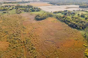 5230 Rebecca Park Trail, Greenfield, MN 55357 - Photo 78