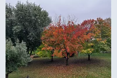 8927 W 136th Street, Savage, MN 55378 - Photo 54