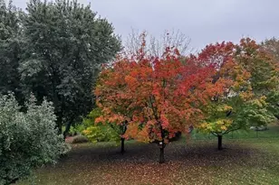 8927 W 136th St, Savage, MN 55378 - Photo 54