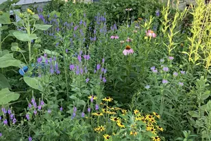 3810 1st Pl NW, Rochester, MN 55901 - Photo 32