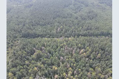 8624 Zim Road, Forbes, MN 55738 - Photo 18