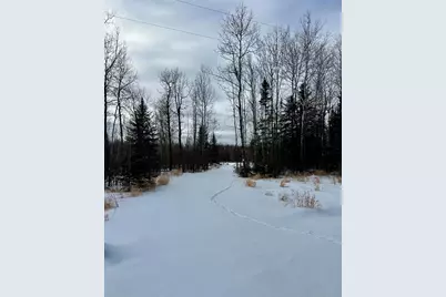 8624 Zim Road, Forbes, MN 55738 - Photo 2