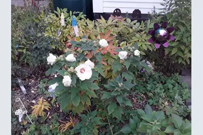 3700 Thomas Avenue N, Minneapolis, MN 55412 - Photo 34