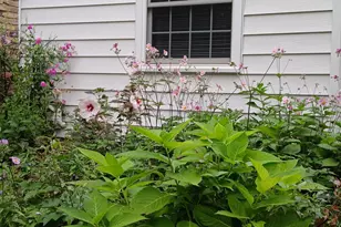 3700 Thomas Ave N, Minneapolis, MN 55412 - Photo 40