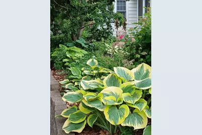 3700 Thomas Avenue N, Minneapolis, MN 55412 - Photo 36