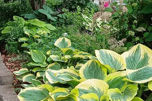 3700 Thomas Ave N, Minneapolis, MN 55412 - Photo 36