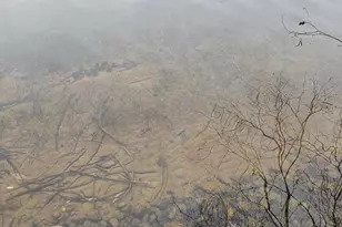 40749 Co Rd 612, Nashwauk, MN 55769 - Photo 14