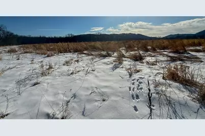 Tbd County 7 Boulevard, Welch Township, MN 55089 - Photo 22