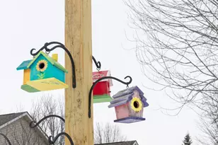 1586 Mallard Ave, Baldwin, WI 54002 - Photo 30