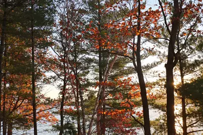 4388 Robin Lane NW, Hackensack, MN 56452 - Photo 100