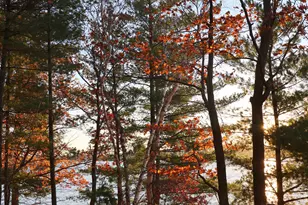 4388 Robin Ln NW, Hackensack, MN 56452 - Photo 100