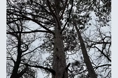 4388 Robin Lane NW, Hackensack, MN 56452 - Photo 78