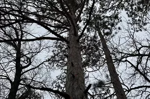 4388 Robin Ln NW, Hackensack, MN 56452 - Photo 78