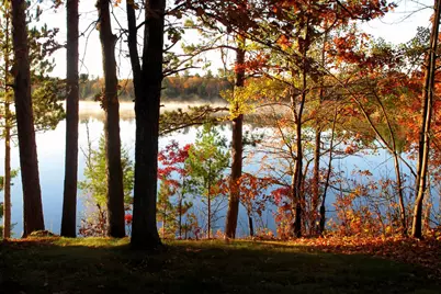 4388 Robin Lane NW, Hackensack, MN 56452 - Photo 98