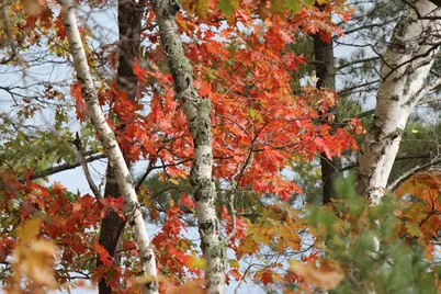 4388 Robin Lane NW, Hackensack, MN 56452 - Photo 102