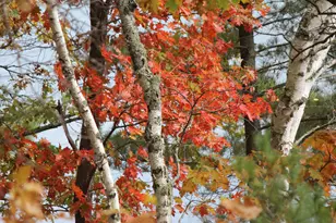 4388 Robin Ln NW, Hackensack, MN 56452 - Photo 102