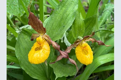 4388 Robin Lane NW, Hackensack, MN 56452 - Photo 110