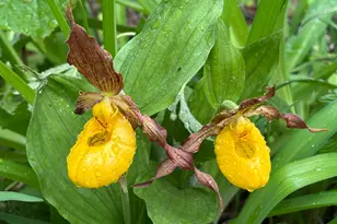 4388 Robin Ln NW, Hackensack, MN 56452 - Photo 110