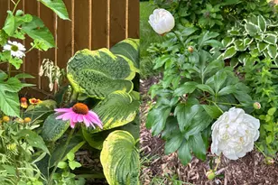 10512 Florida Ave N, Brooklyn Park, MN 55445 - Photo 40