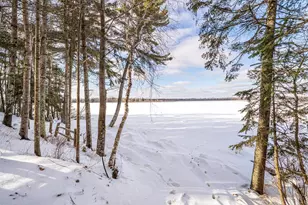 8677 S Strand Lake Rd, Cotton, MN 55724 - Photo 48