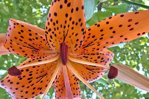 1048 85th Ave, Amery, WI 54001 - Photo 64