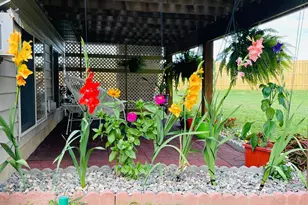 2213 Birn-Hill Dr, Faribault, MN 55021 - Photo 38