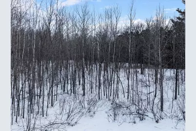 Tbd State Highway 371, Walker, MN 56484 - Photo 8