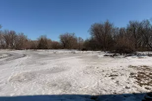 20275 140th St, Herman, MN 56248 - Photo 4