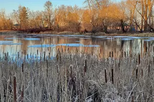 1304 W Medicine Lake Dr, Plymouth, MN 55441 - Photo 8