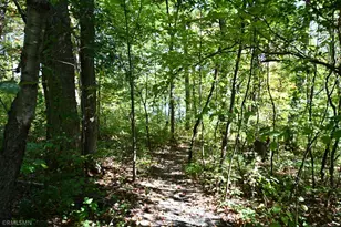 48 279th St, Osceola, WI 54020 - Photo 46