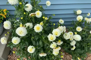 2717 59th St NW, Rochester, MN 55901 - Photo 56