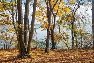 Tbd Lot 19 Ni Gig Trail, Cass Lake, MN 56633 - Photo 1