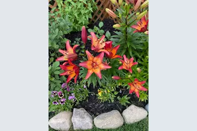 25388 County Road 523, Effie, MN 56639 - Photo 32