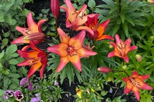 25388 Co Rd 523, Effie, MN 56639 - Photo 32