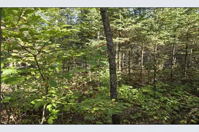 Tbd Smith Road, Couderay, WI 54828 - Photo 12