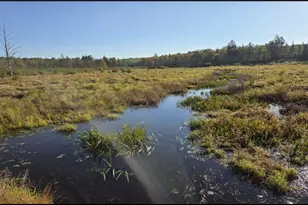 Tbd Smith Rd, Couderay, WI 54828 - Photo 1