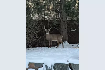 2060 125th Lane NW, Coon Rapids, MN 55448 - Photo 30