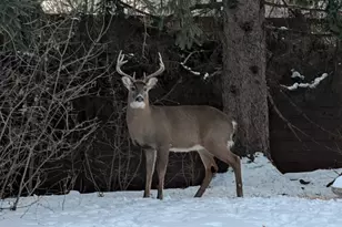 2060 125th Ln NW, Coon Rapids, MN 55448 - Photo 30