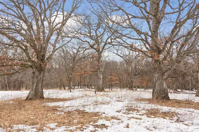 771 Zumbro Oaks Lane NW, Oronoco, MN 55960 - Photo 52