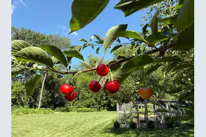 5435 Howard Street NW, Rochester, MN 55901 - Photo 44