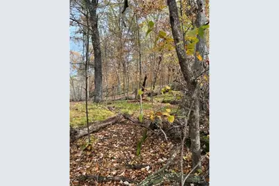 Lot 5 Tiger Street NW, Zimmerman, MN 55398 - Photo 26