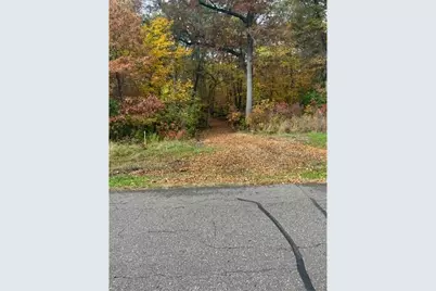 Lot 5 Tiger Street NW, Zimmerman, MN 55398 - Photo 4