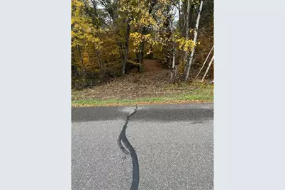 Lot 5 Tiger Street NW, Zimmerman, MN 55398 - Photo 2