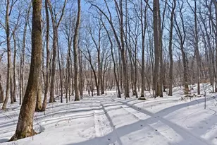 26904 Cedar Rd, Cushing, MN 56443 - Photo 36