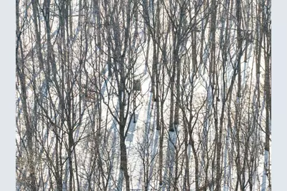 26904 Cedar Road, Cushing, MN 56443 - Photo 50