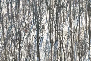 26904 Cedar Rd, Cushing, MN 56443 - Photo 50