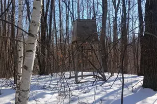 26904 Cedar Rd, Cushing, MN 56443 - Photo 58