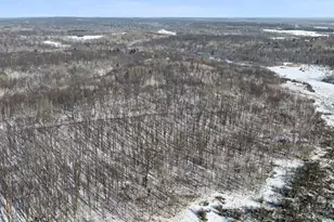 26904 Cedar Rd, Cushing, MN 56443 - Photo 46