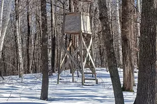 26904 Cedar Rd, Cushing, MN 56443 - Photo 62