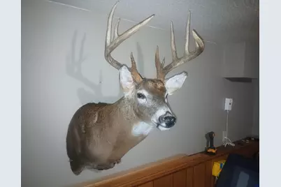 26904 Cedar Road, Cushing, MN 56443 - Photo 64